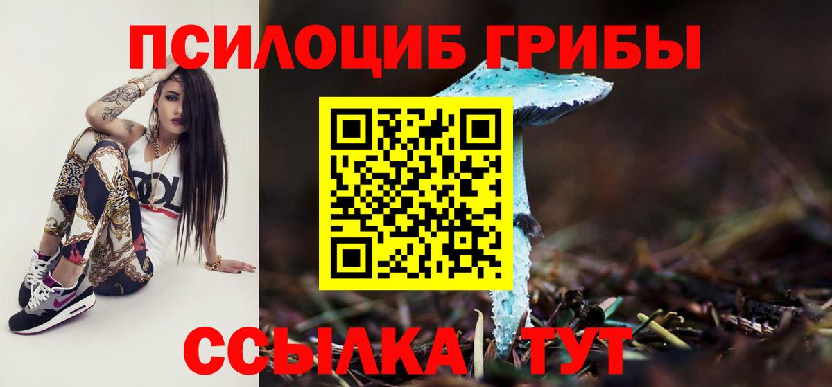 купить наркоту  Вход с VPN  Новороссийск  Галлюциногенные грибы мухоморы 